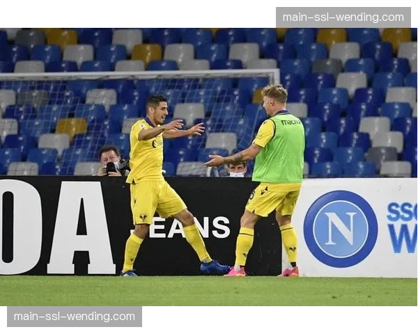 维罗纳主场球迷高歌致敬退役在即的球队传奇法拉奥尼