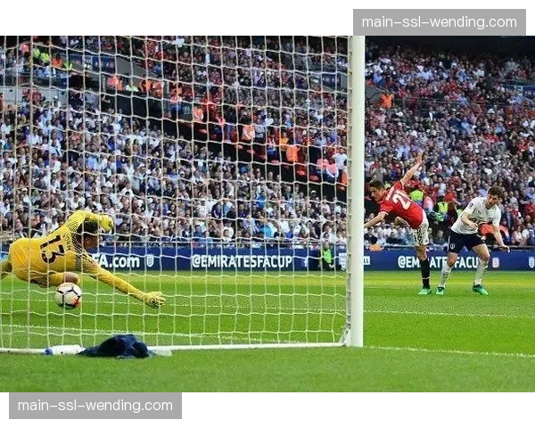 特写:暴雨中的温布利,足总杯四分之一决赛因场地积水两度中断,工作人员紧急排水