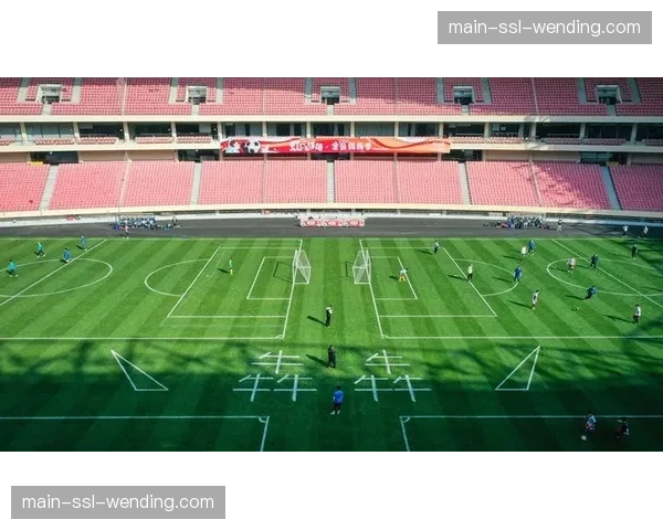 欧冠四强场地检查报告公布,均符合高强度压迫比赛所需草皮标准 欧冠四强场地检查报告公布,均符合高强度压迫比赛所需草皮标准